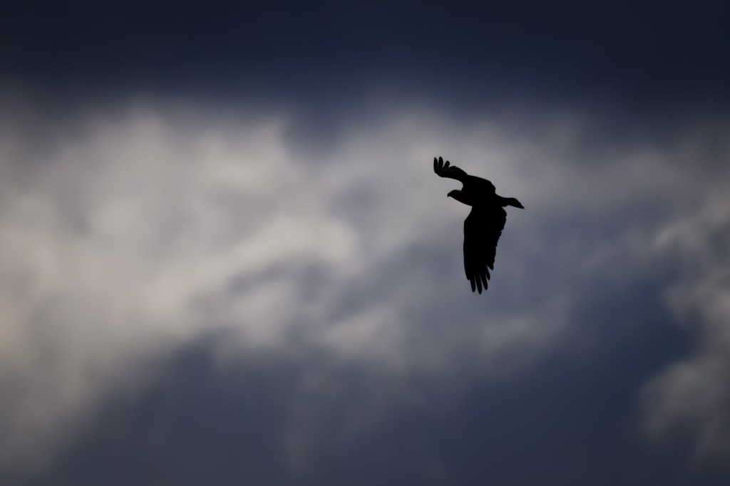 There is No Such Thing as Bad&nbsp;Light.