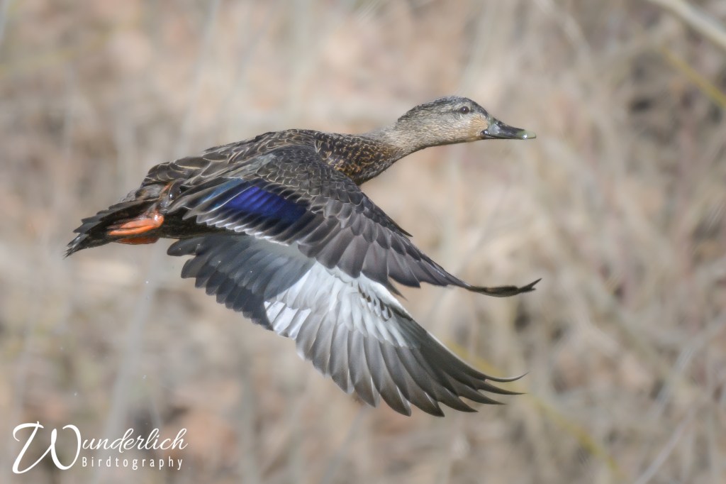 Always be Prepared for&nbsp;Action.